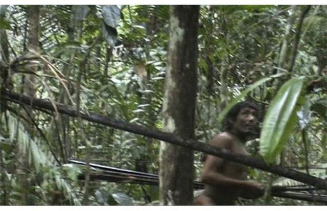 Brezilya'nın balta girmemiş ormanlarında yaşayan medeniyetten izole bir kabile ilk kez görüntülendi. -