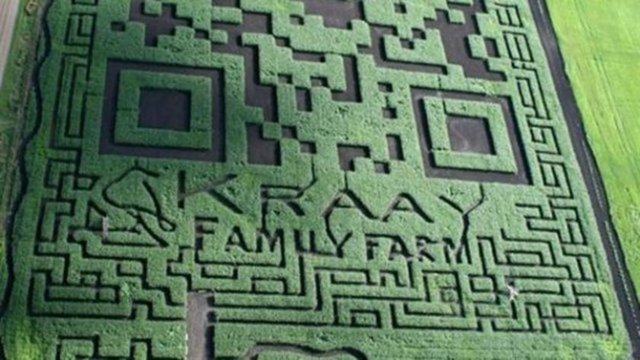 En garip labirent. Kanada´dan Kraay ailesi...