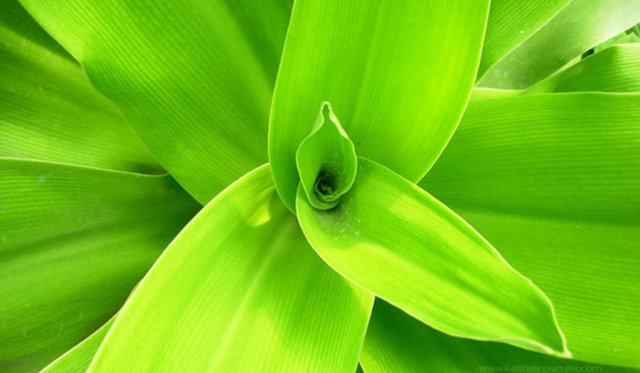 Yatak odası için de rahatlatıcı bir renktir.