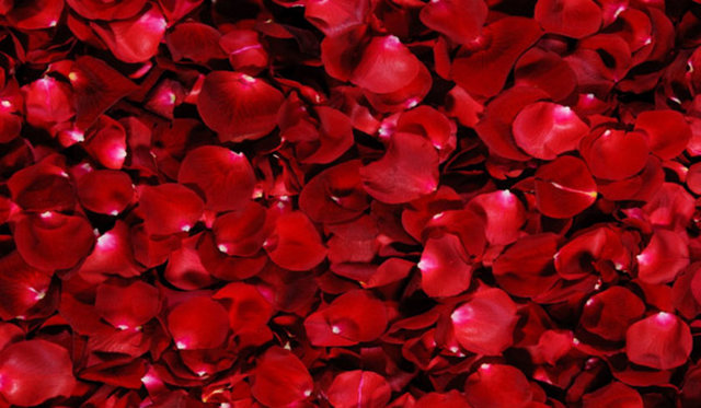 Aşkın ve arzunun rengidir. Kırmızı dolaşım sistemindeki kan akımını hızlandırır. Çocuk eşyalarında bu tonun fazla kullanılması, çocukların mutluluğunu temsil etmesindendir.