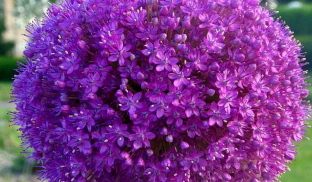 Nevrotik duyguları açığa çıkardığından, bilinçaltı insanları korkuttuğu saptanmıştır.