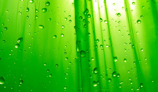 Batıda büyük otellerin mutfaklarında duvar renginin, aşçıların yeniliklerini arttırmak için yeşile boyandığı söylenir.