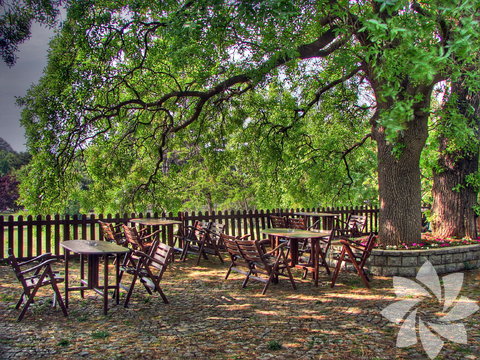 Romantika Fenerbahçe Parkı: Kadıköy Fenerbahçe semtinde İstanbulluların çok sık uğradığı bir park olup aynı zamanda yürüyüş parkurlarıyla da ünlüdür. Fenerbahçe sahiline olan yakınlığından dolayı hem orman hem denizi bir arada hissedebileceğiniz nadir alanlardan birisidir.