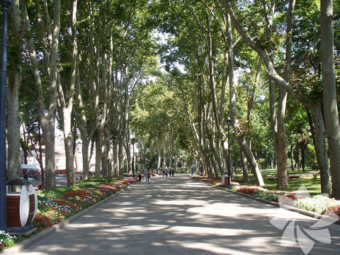 Gülhane Parkı: Eminönü'ne bağlı bulunan Gülhane Parkı bahçeleri, çiçekleri, havuzları ve dinlence yerleri ile hem turistlerin hem de halkın ilgisini çeken önemli parklardan  birisidir., Osmanlı döneminde Topkapı Sarayına gül yetiştirmek amacıyla kullanılmıştır. 10 yıl öncesinde İstanbul'un en büyük hayvanat bahçesi olarak hizmet veren Gülhane Parkı şimdilerde dinlence yerleriyle ve halk konserlerinin düzenlendiği bir alan haline gelmiştir.