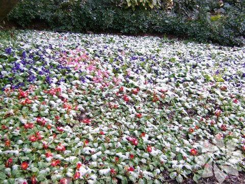 Fethi Paşa Korusu:  Üsküdar ile Beylerbeyi arasında Üsküdar sırtlarında boğaza hakim bir durumda oldukça güzel ve etkileyici bir alanda yer alır. 16 hektar yeşil alan üzerine kurulu Fetih Paşa Korusu kahvaltı için ve yürüyüş için harika bir seçim olacaktır.
