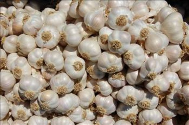 Sarımsak, meme kanserinde etkili. Sarımsak, ayrıca kalınbağırsak, mide ve prostat kanserlerine karşı koruyucu etkisi bulunuyor.