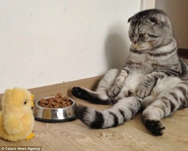 Banyoda, mutfakta, salonda, sandalyede oturan Niki'nin fotoğrafları da Instagram'da büyük beğeni topladı.