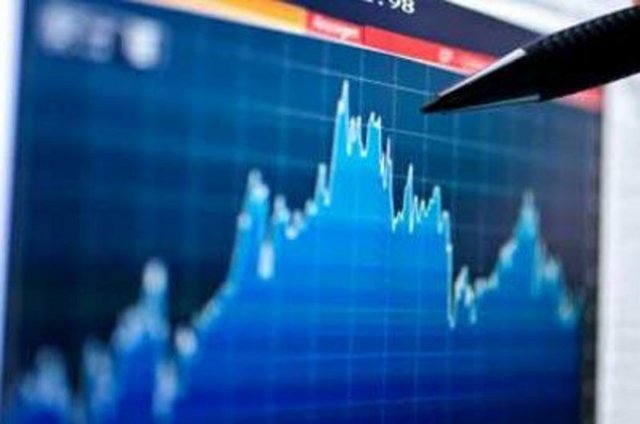 29-Menkul Kıymet Yat. Ort. - 2012:Yüzde 2.1    2013: Yüzde 0.2