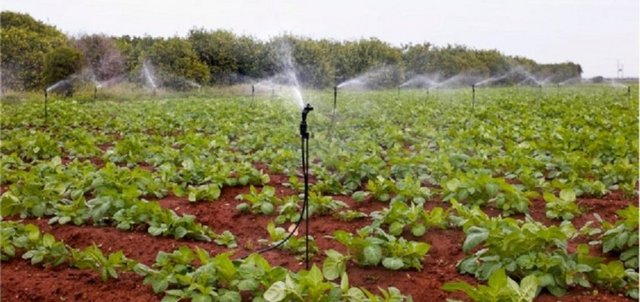 18-Gübre-Tarım İlaçları - 2012:Yüzde 6.8    2013: Yüzde 3.8