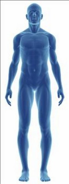 Ancak bu "kalıcı gençlik" durumundan nasibini alamayan şanssız organlar da yok değil. Beyin, gözler ve sinir sistemi kendini yenileyemiyor.