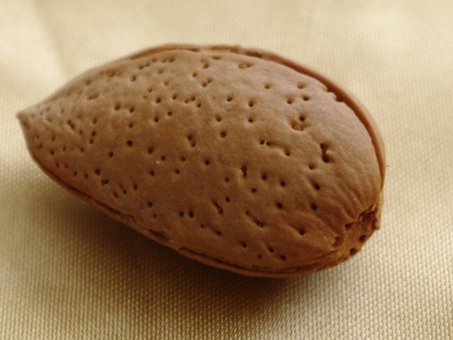 BADEM: - Bir avuç kalp dostu bu yemişlerden yediğiniz takdirde tatlı bir şekerleme yapabilirsiniz. Badem hem triptofan içeriği hem de uygun ölçüde içerdiği kalsiyum sayesinde kaslarınızın rahatlamasını sağlar.