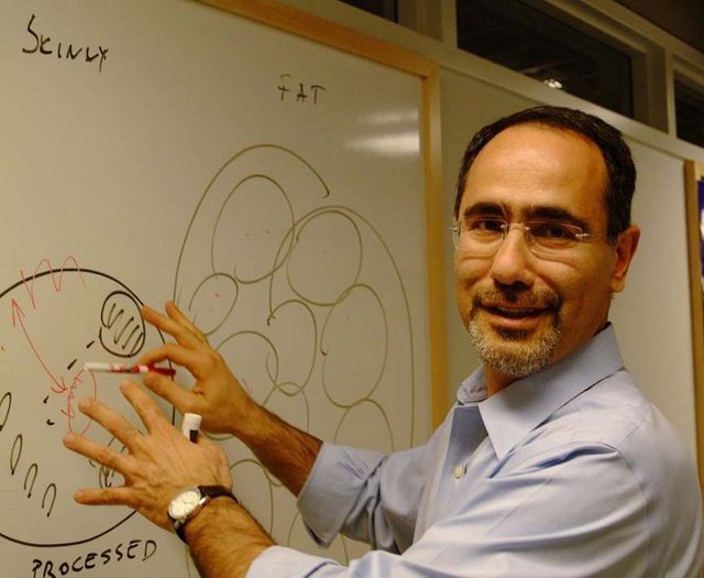 Gökhan Hotamışlıgil - Türk doktor ve bilimadamı.  2005 yılı itibarı ile Harvard Üniversitesi'nde görev yapıyor. Prof. Dr. Gökhan Hotamışlıgil ve ekibi diyabet ve karaciğer yağlanması gibi hastalıkları durdurabilecek "lipokin" adlı bir hormon keşfetti -