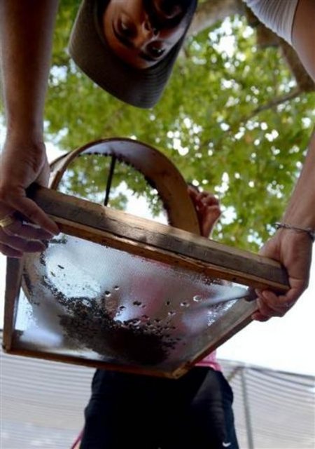 "Kazılarda özellikle avcılık ve toplayıcılık dönemlerine denk düşen, ışık tutan veriler ortaya çıkardık. Buzul dönemi için burada fillerin, gergedanların ve kalın kabuklu canlıların buluntularına ulaştık. Ayrıca mağara önünde bir göl olduğunu ve bu canlıların göl çevresinde yaşadıkların belirledik. Bu, Anadolu'da nesli tükenen hayvanların o dönemlerde insanla ilişki içinde yaşadığını ortaya koyuyor. Bırakın Türkiye'de, dünyanın hiçbir mağarasında buradaki özellikler yok."