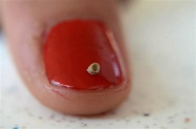 Bulunan boncuklara en küçük denilebileceğini ama en eskisi diyemeyeceklerinin altını çizen Yalçınkaya, "İlk süslenme eylemleri 40-45 bin yıl öncesine kadar iniyor. Bu boncuklara yerleşik döneme geçildikten sonraki dönemin ilk örnekleri diyebiliriz. MÖ 6 binler olarak tarihlendirebildiğimiz boncuk taneleri şu ana kadar bulunan, zamanının en küçük boncuğu. O zamanın şartlarında bu boncuğu delmek için nasıl bir yöntem kullanıldı henüz bilmiyoruz" diye konuştu