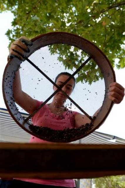 Prof. Dr. Yalçınkaya, bu yılki kazı çalışmaları sırasında binlerce yıl öncesinden kalma boncuk taneleri bulduklarını belirterek, şunları söyledi:  -