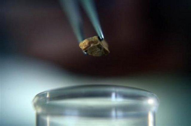 Kazılarla ilgili bilgi veren Yalçınkaya, kazılarda kazma kürek yerine mala, keski ve fırça gibi ince detaylı araçlarla insan yaşamına ilişkin buluntular araştırıldığını anlattı. Yalçınkaya, "Mağarada kazılan her bir gram toprağı inceliyoruz. Dolgulardan çıkan toprakları kovalarla 300 metre aşağıdaki laboratuvara indiriyoruz. 28 yıldan bu yana mağaradan çıkartılan 30 ton toprağın her bir gramı detaylı şekilde inceledik" dedi.