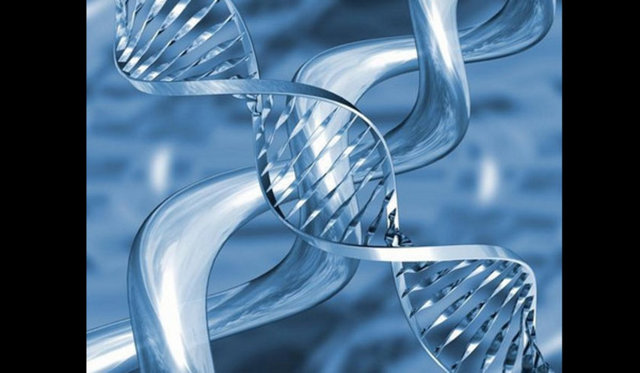 İnsanın DNA`sıyla şempazelerinki arasındaki benzerlik yüzde 98,4, salyangozunkiyle benzerliği ise yüzde 70. -