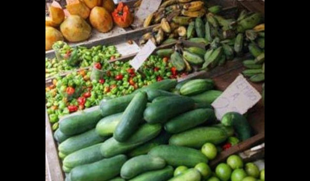 Salatalığın yüzde 96'sı sudur.