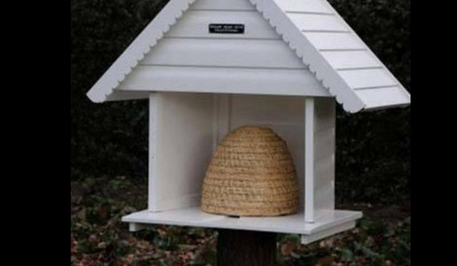 Bal bozulmayan tek gıdadır.