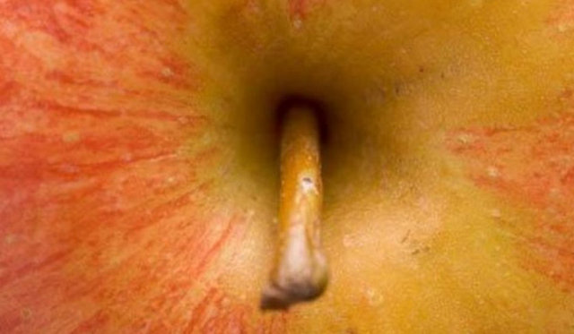 Sabahları elma kahveden daha fazla uykunuzu açar. -  -