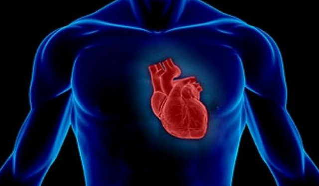 Kalp günde ortalama 100 bin kez atıyor.