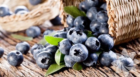 Yabanmersini: 60 meyve ve sebze üstünde yapılan bir araştırmaya göre en çok antioksidanı yabanmersininin içerdiği görülmüş. Yabanmersininin içerdiği antioksidan ülser, katarakt ve glokomu önler, kalp hastalıkları ve çeşitli kanser hastalıları riskini azaltır, kolesterolü düşürür. Bu meyve aynı zamanda Alzheimer hastalığı riskini azaltır. Dondurulmuş yabanmersini ve balı blender da karıştırıp şurup olarak kullanabilirsiniz veya yoğurdunuza karıştırıp yiyebilirsiniz.