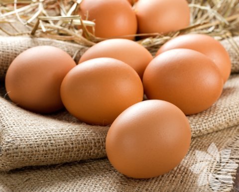 Yumurta: 90'lı yıllarda yumurtadaki yağ ve kolesterol yapıcı etkenlerden korkuluyordu fakat son yapılan araştırmalar yumurtanın kolesterolle hiçbir ilgisi olmadığını gösterdi ve yumurtanın çok kapsamlı bir besin olduğu anlaşıldı. Yumurta çok iyi bir protein kaynağıdır. Proteini meydana getiren 8 amino asidin hepsini içerir.(tüm yumurta yenildiğinde) Protein, tok hissetmek ve ihtiyacımız olan enerjiyi karşılamak için çok önemlidir. Kahvaltıda kepekli ekmek arasına omlet şeklinde veya yeşil salata, ton balığı siyah zeytin, yağ ve sirke ile karıştırılmış salataya eklenip yenebilir.