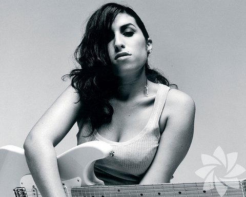 "Hayatım boyunca hiç vasat bir şey yapmak istemedim. Listelerde yer alan şarkıları dinliyordum, kabalık etmek istemem ama bu insanlarda hiç ruh yok" Amy Winehouse
