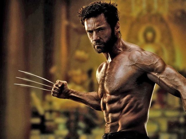 4. Wolverine
