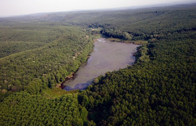 Trakya'da ise İğneada ve Longoz ormanlarında temiz hava eşliğinde uzun yürüyüşler yapabilirsiniz