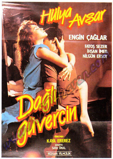 - 1986 - Dağlı Güvercin