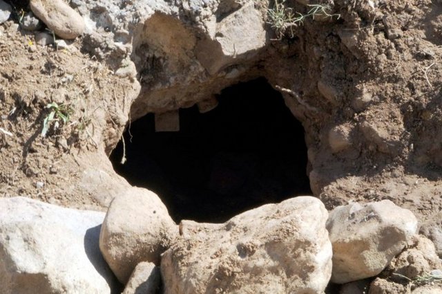 Bingöl ve civar illerde giriş ve çıkışları kontrol altına alındı. -  -  -