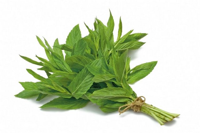Faydaları: Magnezyum, folat, kalsiyum, demir B2 vitamini, C vitamini A vitamini ve lif içeriği yüksektir.