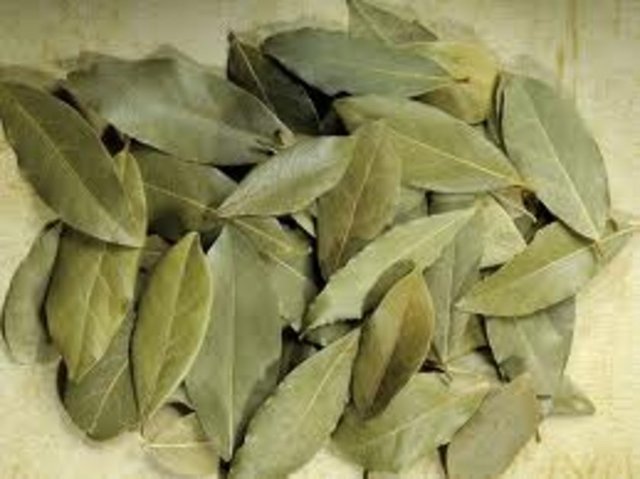 Sadece balıkta değil kırmızı ya da beyaz et yemeklerinde, kebaplarda da kullanılan defne, kokusu ve tadıyla fark yaratıyor.