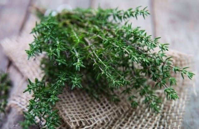BAHARAT DEYİP GEÇMEYİN