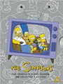 <b>36- The Simpsons: </b> Matt Groening tarafından Fox Broadcasting Company için yaratılan animasyon televizyon durum komedisidir. Dizi, Homer, Marge, Bart, Lisa ve Maggie'den oluşan orta sınıf bir Amerikan ailesinin satirik bir parodisidir. Şov, Springfield adlı kurgusal bir şehirde geçmekte ve Amerikan kültürünü, toplumunu, televizyonunu ve farklı insanlık hâllerini hicvetmektedir.