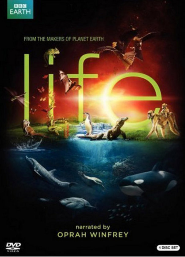 <b>7- Life: </b> BBC'nin hazırladığı ve 10 milyon sterlin harcanan belgesel 50 dakikalık 10 bölümden oluşuyor.