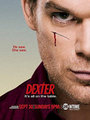 <b>11- Dexter: </b> İlk olarak 1 Ekim 2006'da Showtime kanalında gösterilmeye başlayan Amerikan dizisidir. 6. sezonu 2 Ekim 2011 de gösterilmeye başlandı. Miami Metro Polis Departmanı'nda kan sıçrama örnekleri analizcisi olarak çalışan, geceleri seri katile dönüşen Dexter Morgan merkezli bir dizidir.