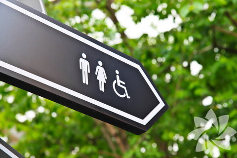 Tuvaletin yerini bulamamak -  - Koridorlarda tuvaletin yerini arıyor ama bulamıyorsunuz. Ya da tuvalettesiniz ama tuvaletin kapısı bir türlü kapanmıyor. Wallace, tuvaletle ilgili rüyaların aslında temel ihtiyaçlarımızla ilgili olduğu görüşünde. Tuvaleti arıyor ama bulamıyorsanız, işinizi yapabilmek için ihtiyaç duyduğunuz kişinin yanınızda olmamasından huzursuzsunuz. Tuvaleti buluyorsanız ancak kabinin kapısı yoksa, beraber iş yaptığınız kişiyle yeterince iyi bir işbirliği kuramamışsınız demektir.