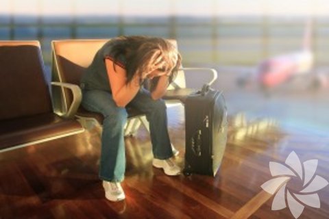 Havaalanında sorun yaşamak -  - İş seyahatine çıkacaksınız. Havaalanındasınız. Ancak evrakınız eksik. Ya da o kadar kalabalık ki uçağa binemiyorsunuz. Wallace, havaalanlarının yeni bir girişimi simgelediğinizi belirtiyor. Rüyanızın anlamı, karşınıza sizin dışınızda gelişen bir engelin çıkacağı anlamını taşıyor.