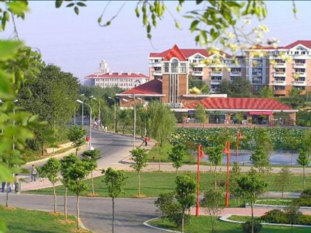 251-275 University of Nebraska-Lincoln - 251-275 The University of Newcastle - 251-275 Norwegian University of Science and Technology - 251-275 University of Pavia - 251-275 Queen's University Belfast  -  -