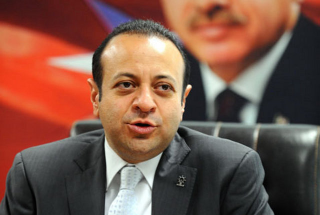 Egemen Bağış: Akademisyen