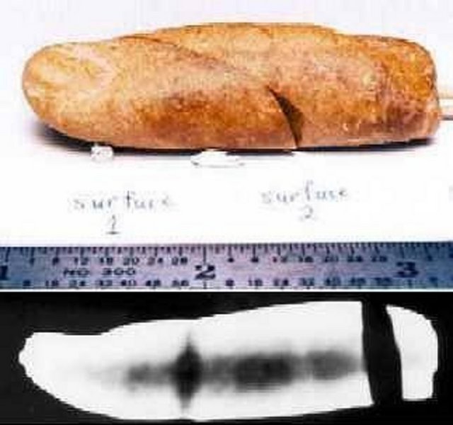 Bu cisim Kanada'nın Kuzey kutup bölgesindeki Axel Heiberg adası eski fosiller koleksiyonunda bulunmuştur. İncelemeler bunun bir insan parmağı fosili olduğunu gösteriyor. Bu fosil 100 ile 110 milyon yıl öncesine aittir (Creataceous jeolojik dönemi). Bu fosil " DM93-083 " numarasıyla arşivlenmiştir. Röntgen ışınlarıyla yapılan inceleme sonucunda yukarıdaki resimdeki siyah kısımların parmak kemiklerine ait olduğu ortaya çıkmıştır. Bu kadar eski zamanlarda insan yaşamış olabilir mi?