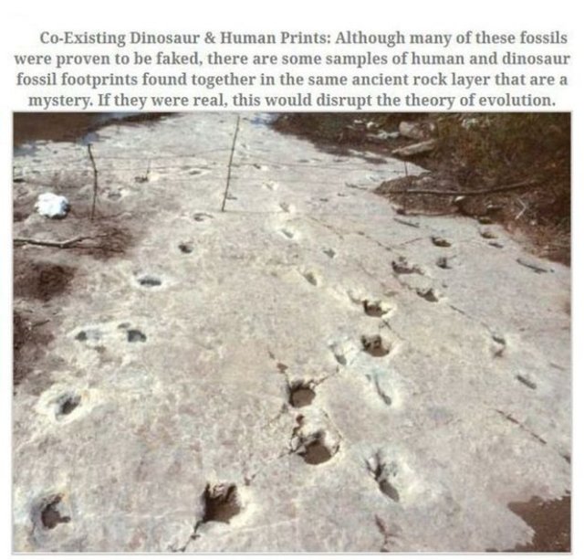 Dinazorlar insanlarla aynı zamanda mı yaşadı? - Dinozorlar bizim düşündüğümüzden daha uzun süre dünya üzerinde yaşadılar. Bu teori mümkün görünüyor.