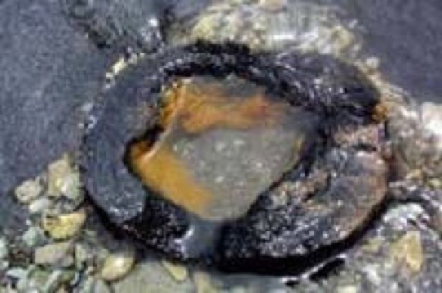 BAİGONG BORULARI: - Çin'de bir dağın tepesinde üçgen şeklinde, 40 cm genişliğinde, dağın derinlerine doğru giden, kısmen paslanmış borular bulundu.  - Daha insanların eti nasıl pişireceklerini bilmedikleri dönemlerde bu boruları nasıl ve neden inşa etmiş olabileceklerine bilim insanları açıklama getiremiyor.