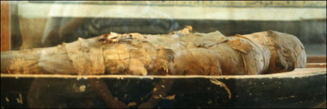 Bu bitkilerin, Amerika'nın keşfine kadar, dünyanın başka bir yerinde yetişmedikleri biliniyor. Mısır mumyaları ise bundan en az 2 bin yıl öncesinden kalma. Bilginler, bu maddelerin mumyaların yapısında olmasına bir yanıt getirmek için çalışıyor.