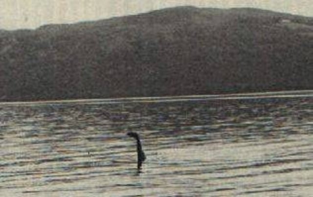 Lochness canavarını gösteren bu fotoğraf 70'li yıllarda çekildi. Gerçek olup olmadığı yıllarsır hala tartışılıyor.
