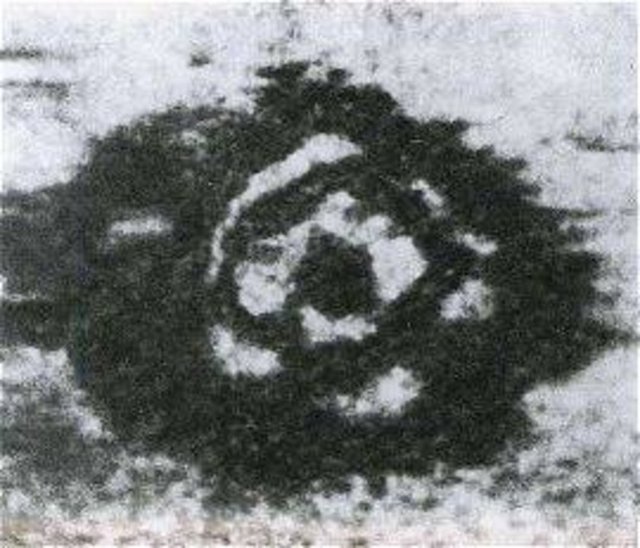 Bu daire şeklindeki taş oluşumları 30 metre çapındadır ve Loch Ness gölünün dibinde görüntülenmiştir.