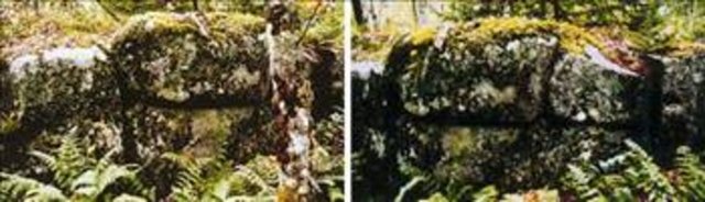 Yeni Zellanda 'da bulunan çok eski bir uygarlığa ait kusursuzca yerleştirilmiş taşlardan oluşan duvarlar bulundu. Bu duvarları yapan uygarlık hakkında en ufak bir bilgi yoktur.