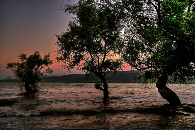 Her yıl Leylek Festivali'nin yapıldığı köyün temel geçim kaynağı ise balıklıçılık ve zeytin üreticiliği.